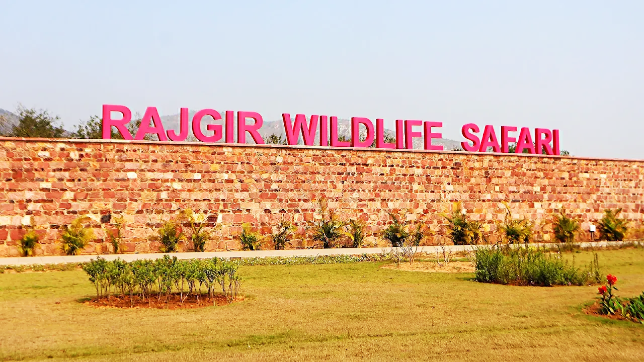 Rajgir Wildlife